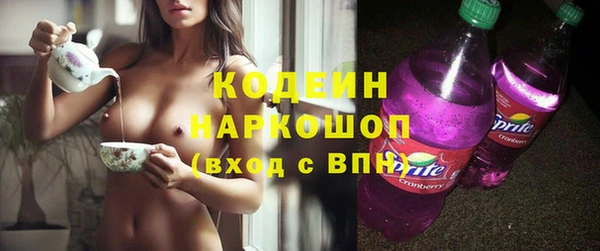 мдпв Вяземский