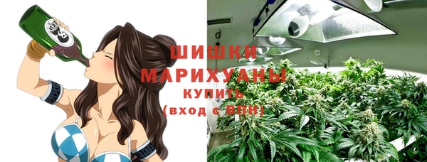 стафф Вязьма