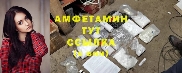 стафф Вязьма