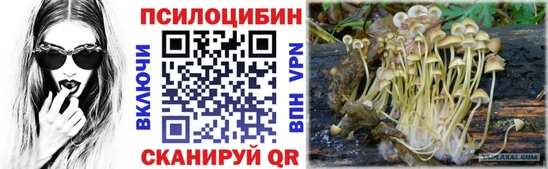 Галлюциногенные грибы GOLDEN TEACHER Купить Курск